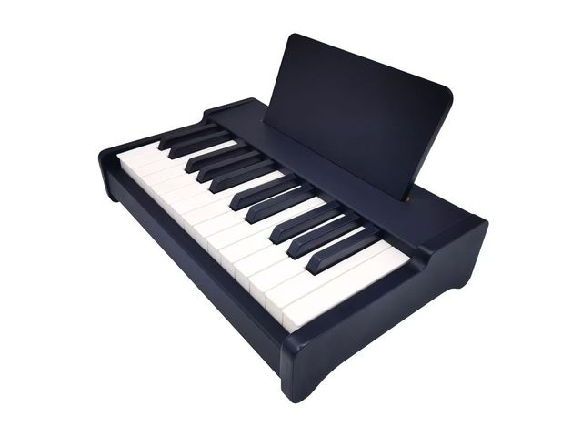 Mixed Batch 25 Keys Compact Mini Digital Piano Manufacturer, Portable Kids Electronic Keyboard For Toy Shop Training Center