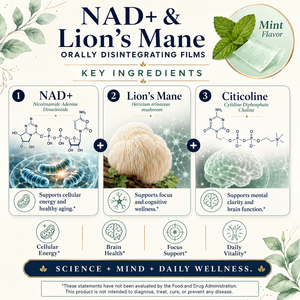 Pellicole Orali a Rapida Dissoluzione NAD Lion's Mane, Stimolante Cerebrale Sublinguale per Prestazioni Mentali, Certificato USDA Kosher Vegano, Campionamento Rapido, Etichetta Privata - Product Image 2
