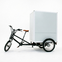 Vélo cargo électrique robuste 48V 850W à 3 roues avec boîte de transport arrière, pneus larges, pour adultes