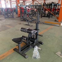 Équipement de fitness commercial pour salle de sport, machine à squats aux hanches à charge de plaques pour l'entraînement de force