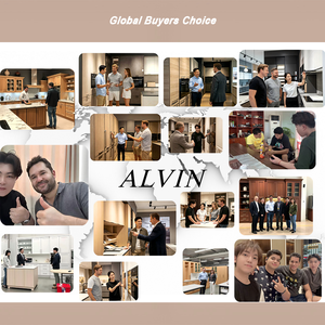 Meuble de cuisine modulaire en bois moderne Alvin <span class=keywords><strong>Family</strong></span> Use avec robinet, tiroir, panier et rangement sur mesure pour salle à manger, maison, villa, appartement - Product Image 4