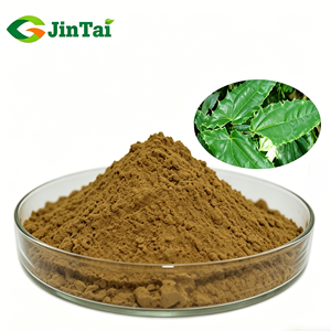 Complément de santé pour la vitalité masculine Super Herbal Yin Yang Huo <span class=keywords><strong>Macun</strong></span> Extrait d'Epimedium en poudre d'Icariine - Product Image 1