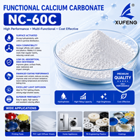 Poudre de CaCO3 fonctionnelle avec une blancheur de 941 et un taux d'activation de 95 % pour les revêtements, les feuilles de PVC et les plastiques techniques