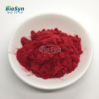 BioSyn Poudre de légumes naturels très vendue, extrait de racine de betterave rouge, poudre de jus de betterave séchée par pulvérisation