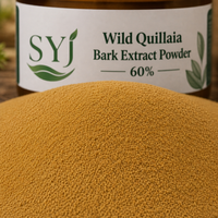 Poudre d'extrait d'écorce de Quillaja sauvage - 60% Saponines Polyphénols Extrait végétal naturel pour l'utilisation alimentaire et en boisson - Fût