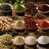 Moulin Classificateur d'Air WFJ pour Épices, Herbes, Gingembre, Curcuma, Sucre, Cacao, Riz, Blé, Farine – Pulvérisateur ACM pour Poudre Fine