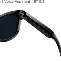 Lunettes Intelligentes de Traduction Instantanée IA avec Double Caméra 5.3 et Monture Métallique pour la Communication en Voyage