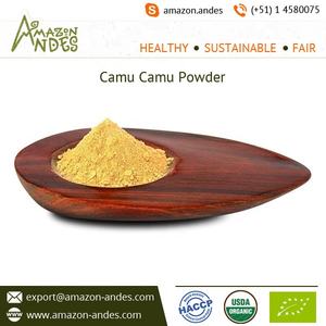 Suministro al por Mayor de Polvo de Camu Camu Orgánico Disponible a un Precio Económico desde Perú - Product Image 2