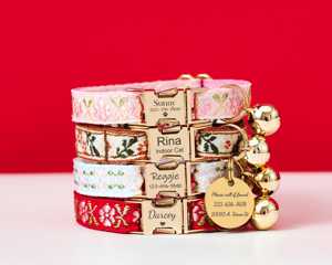 Conjunto de Collar y Correa Personalizados para Mascotas con Diseño Tribal, Hebilla Metálica Grabada y Placa de Identificación Dorada Gratis - Product Image 4