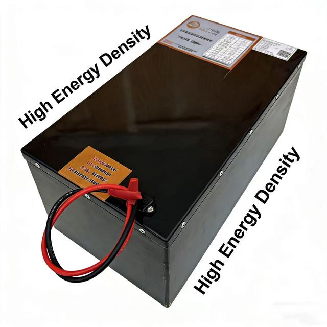 Direct-from-manufacturer 48V 100Ah Lithium Iron Phosphate Battery, with Customizable Capacity for Electric Tricycles,LiFePO4