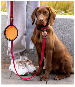 Portable 650ml Pet <strong>Bowl</strong> for Cats <strong>Dogs</strong> Collapsable Silicone PC <strong>Personalized</strong> for Small Animals Rubber Water <strong>Bowls</strong> for Easy Feeding - Product Image 6
