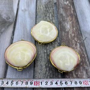 Coquillages naturels, escargots de mer, perles, coquilles Saint-Jacques, conques, coquillages pour peinture à l'huile, boîtes à bijoux, artisanat, vente en gros directe - Product Image 3