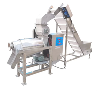 Professionele Appelwijnmaakmachine, hoogwaardige fruitwijnverwerkingslijn