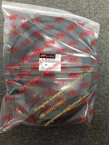 Ingersoll Rand 54775556 kiểm tra van - Product Image 6