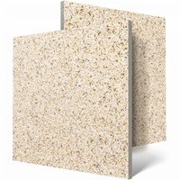 Carreaux de pavage en porcelaine modernes pour extérieur 300x600mm Antidérapants Semi-mat Résistants aux acides Antibactériens Garantie 5+ ans