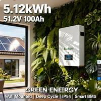 Baterai LiFePO4 48V 5kWh 51.2V 100Ah untuk Sistem Surya Hibrida yang Dipasang di Dinding