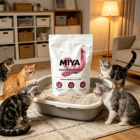 Litière pour chat en bentonite, litière minérale au sodium, agglomérante, contrôle des odeurs, nettoyage, bac à litière automatique, sans poussière, durable
