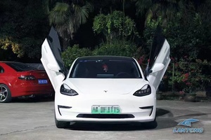 Kit Speciale per Porte Verticali Stile Lambo per Tesla Model 3 - Product Image 2