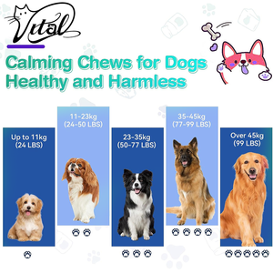 OEM Poulet Saveur Chien Calmant À Mâcher 120 Comptes Soulagement De L'anxiété Friandises Aide À Réduire Le Stress Promouvoir La Santé Des Animaux De Compagnie Complément De Soins - Product Image 4