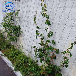 Malla de Alambre de Acero Inoxidable de Alta Flexibilidad para Jardín, Red de Soporte para Plantas, Estructura Resistente - Product Image 3