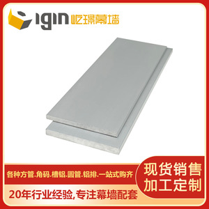 Bande plate en aluminium Igin de 40 mm de large, 6063T5, pour profilés de murs-rideaux, usage industriel et civil - Product Image 1