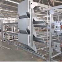 Équipement d'élevage avicole 50000 60000 70000 80000 100000 150000, système de cages à poulets automatiques de type H pour élevage de poulets de chair