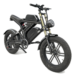Bicicleta Eléctrica Todoterreno Nueva de Estilo Retro con Llantas Gruesas de 20 Pulgadas para Playa y Nieve con Batería de Litio - Product Image 5