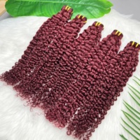 Lots de Cheveux Brésiliens Vierges Rouge 99J Bouclés Profonds de Luxe, Cheveux Bruts Doublement Tirés avec Cuticules Alignées, Fournisseurs de Cheveux Vierges