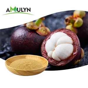 Спрей Сушеный органический фруктовый сок mangosteen порошок 100% чистый