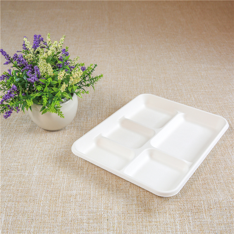 Biodegradable Clamshell Container Bento Box Double Layer