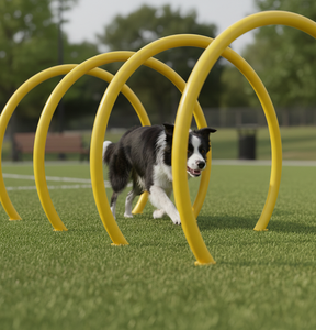Nuevo Túnel Profesional de Agilidad para Perros 2026 - Equipo de Juego para Parques de Agilidad al Aire Libre - Product Image 1