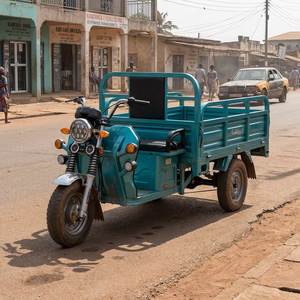 Tricycle électrique de fret 600 kg à 3 roues, tricycle de passagers et de fret, vente en gros d'usine, <span class=keywords><strong>moto</strong></span> électrique SKD CKD pour distributeurs - Product Image 6