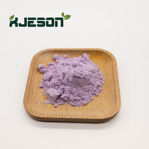 Grosir penjualan terbesar 100% bubuk jus kubis ungu murni - Product Image 2