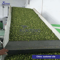 El mejor deshidratador automático de alimentos, hojas de Moringa, col rizada, secador de repollo, limpieza y secado de verduras, equipo de línea de producción