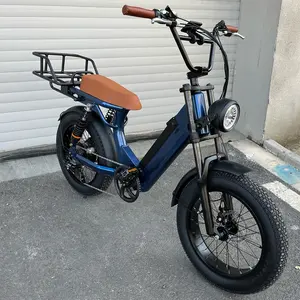 48v 750w Full Suspension Ebike Old Time Lithium Battery Electric Fat Tire Bicycle For Adults
