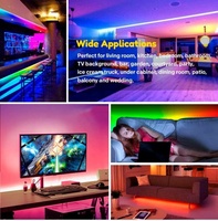 Bande Lumineuse LED RVBIC 5050 à Pixels Adressables WS2811 WS2812B WS2815 60LED/M 144LED/M DC5V 12V IP20 IP65 IP67 pour Projets Discothèque Bar