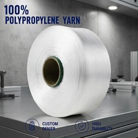 Hilo de Polipropileno 100% de Alta Resistencia y Tenacidad para Tejido a Mano, Bolsas de Compra Reutilizables