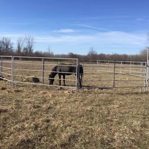कारखाने प्रत्यक्ष घोड़े स्टील गैल्वेनाइज्ड बोर्ड बाड़ का उपयोग बिक्री के लिए किया जाता है - Product Image 2