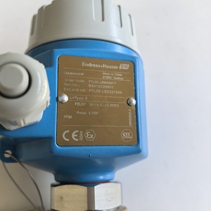 Capteur de niveau à fourche vibrante Endress+Hauser FTL5E-LEMA63F-F 100 mm 24 V CC pour liquides - Product Image 1