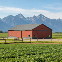 Structure en acier moderne pour abri d'élevage, ventilation sur mesure pour l'élevage de moutons/chèvres, abri agricole multi-échelles, projet global