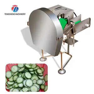 Chili Pepper Ring Cutter Table Type Electric Coriander Banana Scallion Leek Shredding Slicing Dicing Cutting Machine (TS-Q30)