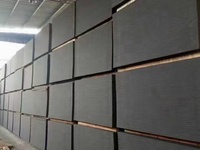 Modernes Design HPL-Platte für Krankenhaus- und Hotelwand 8 mm 1220 × 3050 mm Melamin verschiedene Farbtexturen 8 mm Dicke