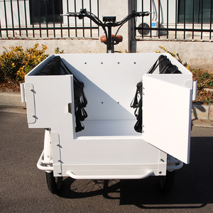 <span class=keywords><strong>Triciclo</strong></span> Eléctrico de Carga Long John con Puerta Frontal Abierta, Bicicleta de 3 Ruedas con Caja de Carga Frontal en Venta - Product Image 2