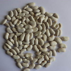 Frijoles de mantequilla secos a granel para alimentos enlatados Frijoles de riñón blancos de forma larga - Product Image 2