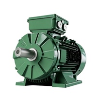 Motor AC Berkualitas Tinggi Teco Electric 11kw 15kw 22kw 30kw 45kw 55kw 75kw Motor Listrik Asinkron 380v Motor Teco