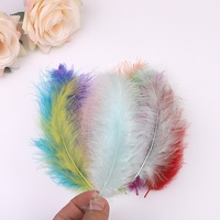 Vente en gros transfrontalière de plumes de queue pointue Boa attrape-rêves en plumes de dinde avec boule d'onde lumineuse pour les mariages