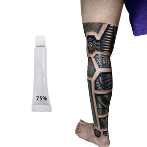 ชุดอุปกรณ์สักลายดีไซน์ใหม่ขายส่ง พร้อมหมึกสัก 75% ครีมสัก 10 กรัม สีไมโครเบลดดิ้งสำหรับแต่งหน้าถาวร - Product Image 5