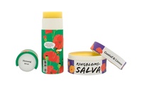 Baume à lèvres écologique logo personnalisé déodorant bâton cosmétique Push up tube pour crème solaire