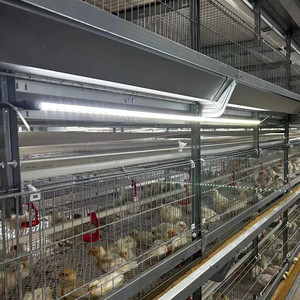 Équipement automatique de <span class=keywords><strong>poulailler</strong></span> pour poulets de chair cages pour animaux à l'état crypté et grossier - Product Image 5