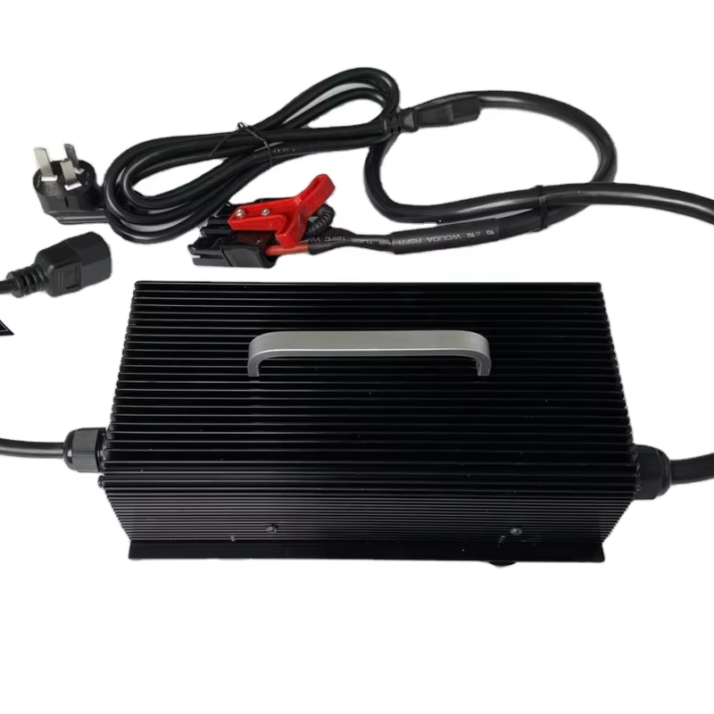 Hot Selling Smart Battery Charger 24V